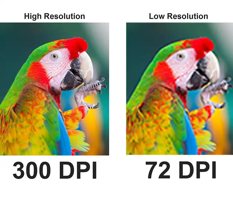 impression 300DPI VS 72DPI impression 300DPI VS 72DPI